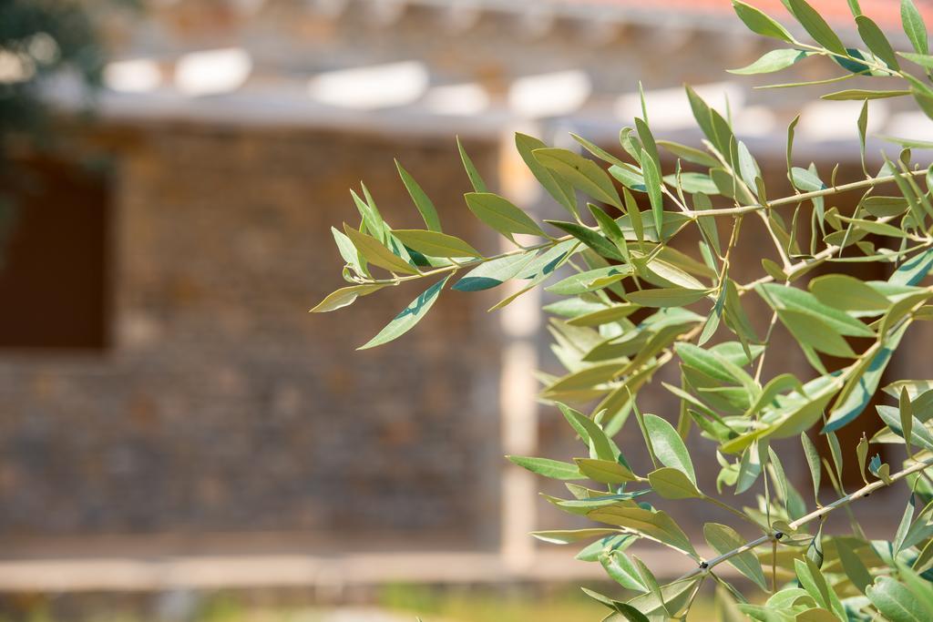 Olive Land Villas Лименария Номер фото