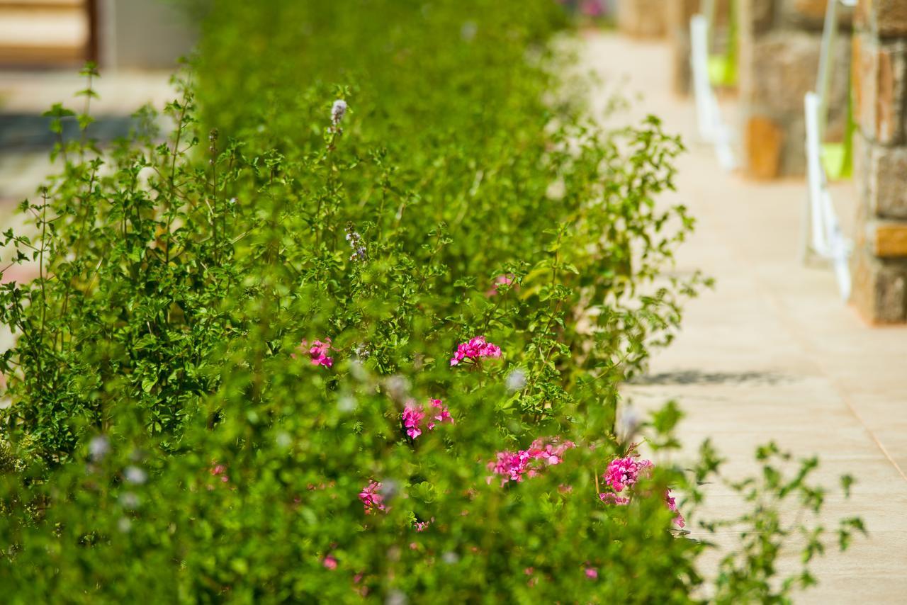 Olive Land Villas Лименария Экстерьер фото